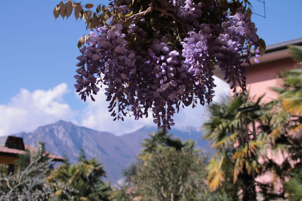 Casa Vacanze Claudette Arco Luaran gambar