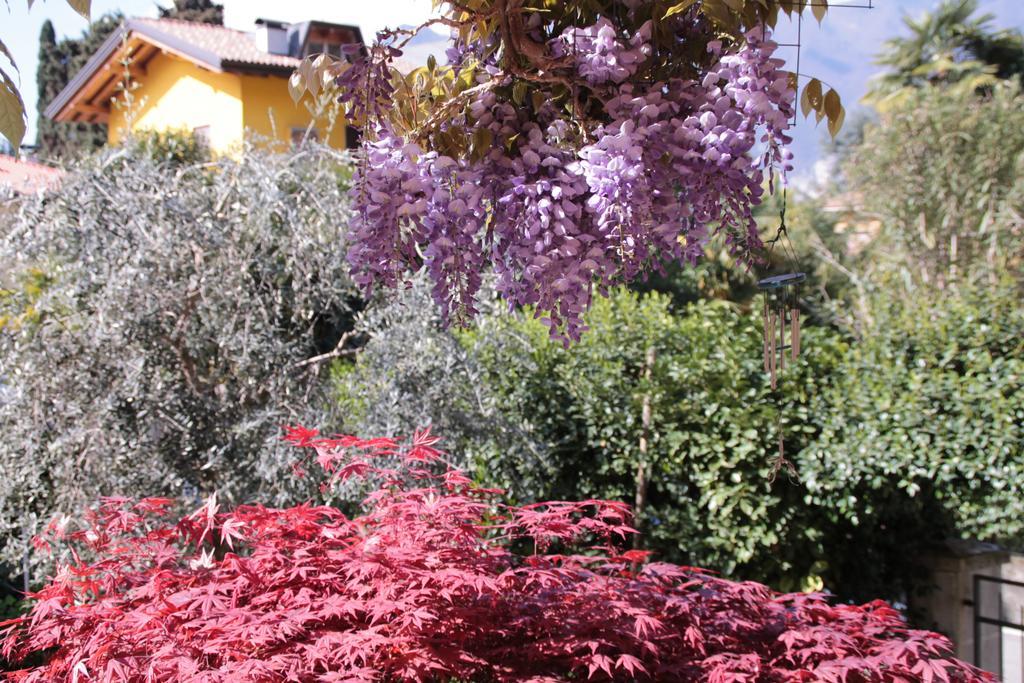 Casa Vacanze Claudette Arco Luaran gambar